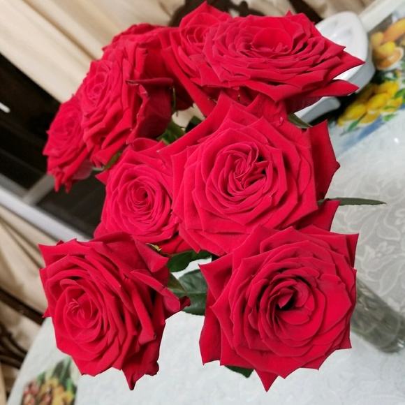 Meet your Posher, Susanna - Picture 1 of 1